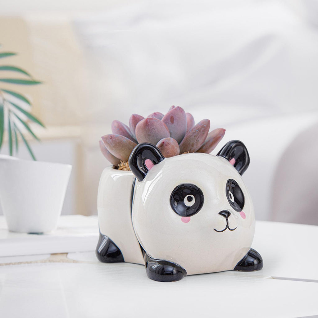 animal succulent planter ⚡️Buy Maxbell Ceramic Animal Succulent Planter Pot Housewarming Gifts for  Garden Handmade Panda at the best price with offers in India. Maxbell  Ceramic Animal Succulent Planter Pot Housewarming Gifts for Garden Handmade