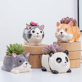 Maxbell Ceramic Animal Succulent Planter Pot Housewarming Gifts for Garden Handmade Panda