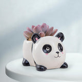 Maxbell Ceramic Animal Succulent Planter Pot Housewarming Gifts for Garden Handmade Panda