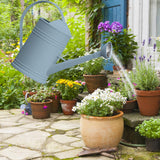 Maxbell Watering Can Flower Watering Sprinkler Head for Indoor Garden Blue