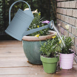 Maxbell Watering Can Flower Watering Sprinkler Head for Indoor Garden Blue