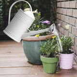 Maxbell Watering Can Flower Watering Sprinkler Head for Indoor Garden White