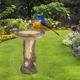 Maxbell Bird Feeders Bird Bath Bowl Yard Decoration for Garden Sturdy Outdoor Decor