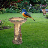 Maxbell Bird Feeders Bird Bath Bowl Yard Decoration for Garden Sturdy Outdoor Decor