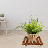 Maxbell Movable Wooden Flowerpot Rack with Lockable Brake Rolling Caster for Corner Square 30cm