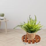 Maxbell Movable Wooden Flowerpot Rack with Lockable Brake Rolling Caster for Corner Round 35cm