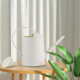 Maxbell Watering Can Decorative with Detachable Spray Head Long Nozzle for Household White