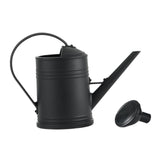 Maxbell Watering Can Decorative with Detachable Spray Head Long Nozzle for Household Black
