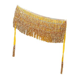 Maxbell Belly Dance Skirt Belt Sequined Tassel Costume for Performance Party Rave Aureate