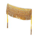 Maxbell Belly Dance Skirt Belt Sequined Tassel Costume for Performance Party Rave Aureate