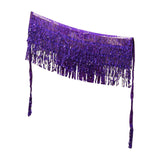 Maxbell Belly Dance Skirt Belt Sequined Tassel Costume for Performance Party Rave Purple