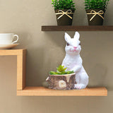 Maxbell Resin Flower Pot Bonsai Pot Container Flowerpot for Patio Desktop Decoration Wooden Stake
