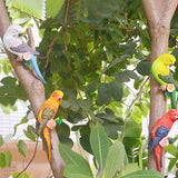 Maxbell Realistic Miniature Birds Tree Peeker Decor Statue for Outdoor Patio