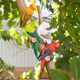 Maxbell Realistic Miniature Birds Tree Peeker Decor Statue for Outdoor Patio