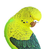 Maxbell Realistic Miniature Birds Tree Peeker Decor Statue for Outdoor Patio
