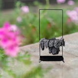 Maxbell Multifunctional Bonsai Planter Basket Planter for Patio Bedroom Decoration Style A Dark Gray