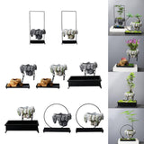 Maxbell Multifunctional Bonsai Planter Basket Planter for Patio Bedroom Decoration Style A Dark Gray