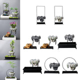 Maxbell Multifunctional Bonsai Planter Basket Planter for Patio Bedroom Decoration Style A Dark Gray