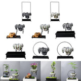 Maxbell Multifunctional Bonsai Planter Basket Planter for Patio Bedroom Decoration Style A Dark Gray