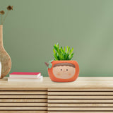 Maxbell Planter Flower Pot with with Drainage Hole for Decoration Holiday Gift Orange