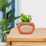 Maxbell Planter Flower Pot with with Drainage Hole for Decoration Holiday Gift Orange