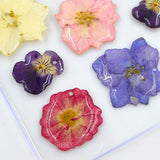 20 Pieces 15-25mm Pressed 5-Petals Dried Flower Scrapbooking Embellishments for Nail Art Decoration Resin Casting DIY Handmade Ornament - Aladdin Shoppers