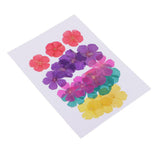 20 Pieces 15-25mm Pressed 5-Petals Dried Flower Scrapbooking Embellishments for Nail Art Decoration Resin Casting DIY Handmade Ornament - Aladdin Shoppers