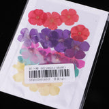 20 Pieces 15-25mm Pressed 5-Petals Dried Flower Scrapbooking Embellishments for Nail Art Decoration Resin Casting DIY Handmade Ornament - Aladdin Shoppers