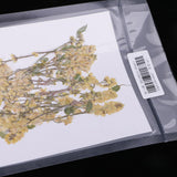 Maxbell 20 Pieces 4-10cm Natural Yellow Real Dried Flower Specimen for Jewelry Making DIY Bookmark Ornament Art Craft Phone Case Decoration