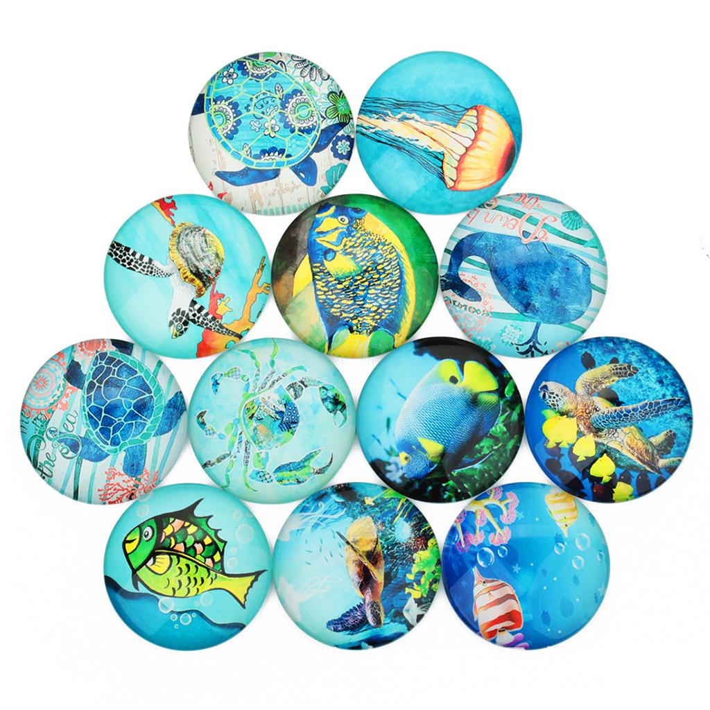 20 Pieces Sea World Style Multifunction Flatback Fridge Magnet Glass Cabochons Floral Dome Flat Back Scrapbook Decors 12mm - Aladdin Shoppers