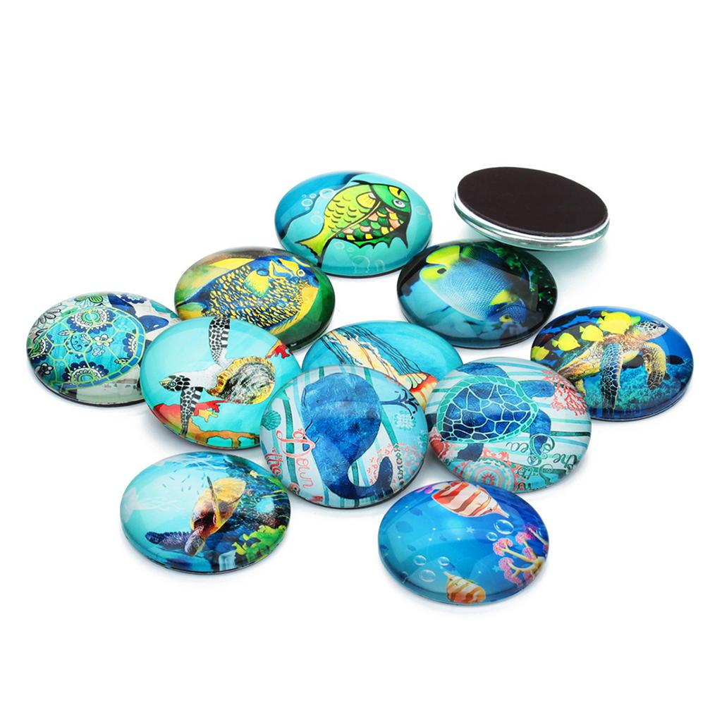 20 Pieces Sea World Style Multifunction Flatback Fridge Magnet Glass Cabochons Floral Dome Flat Back Scrapbook Decors 12mm - Aladdin Shoppers
