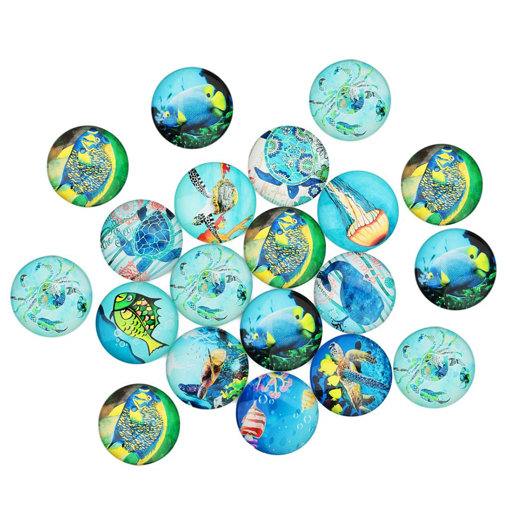 20 Pieces Sea World Style Multifunction Flatback Fridge Magnet Glass Cabochons Floral Dome Flat Back Scrapbook Decors 12mm - Aladdin Shoppers