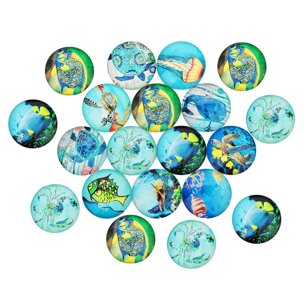 20 Pieces Sea World Style Multifunction Flatback Fridge Magnet Glass Cabochons Floral Dome Flat Back Scrapbook Decors 12mm - Aladdin Shoppers