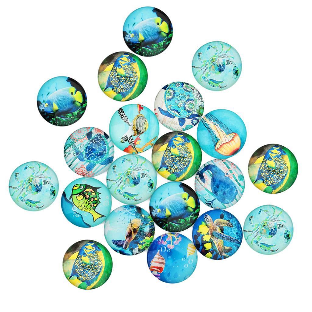20 Pieces Sea World Style Multifunction Flatback Fridge Magnet Glass Cabochons Floral Dome Flat Back Scrapbook Decors 12mm - Aladdin Shoppers