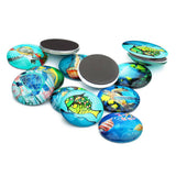 20 Pieces Sea World Style Multifunction Flatback Fridge Magnet Glass Cabochons Floral Dome Flat Back Scrapbook Decors 12mm - Aladdin Shoppers