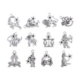 24 Pieces Silver Constellation Alloy Charm Pendants - 12 Designs Constellations - Aladdin Shoppers