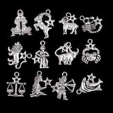 24 Pieces Silver Constellation Alloy Charm Pendants - 12 Designs Constellations - Aladdin Shoppers