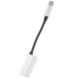 Max Type C to 3.5mm Headphone Audio Adapter and USB-C Charging Cable Silver