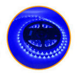 Max 5 Meter Bright Waterproof Strip Light 300 LED DC 24V for Car Truck Trailer Blue