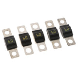 Max Maxb Flat Metal Fuse Slow Bolt Fuses Car Audio Power High Current Fuses 32V 60A