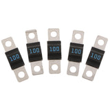 Max Maxb Flat Metal Fuse Slow Bolt Fuses Car Audio Power High Current Fuses 32V 100A