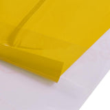 Max 2x Car Flame Totem Side Skirt Modified Personal Decoration Body Paste Yellow - Aladdin Shoppers