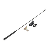 Maxbell Car Radio Antenna AM/FM Flexible with Base for 2000 to2007