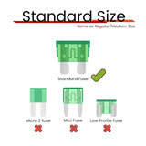 Maxbell 100 Pieces Car Standard Blade Fuse Assortment Kit for RV Marine Durable 10A