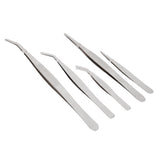 Maxbell 5x Garden Micro Landscape DIY Tweezer Stainless Steel Succulent Plants Bonsai & Gardening Tools Tweezers