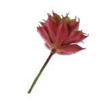 Maxbell Artificial Succulent Plastic Mini Lotus Home Fairy Floral Real Touch Decor