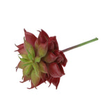 Maxbell Artificial Succulent Plastic Mini Lotus Home Fairy Floral Real Touch Decor