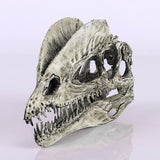 1/3 Scale Dinosaur Dilophosaurus Resin Skull Model Collectibles White