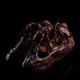 Maxbell Dinosaur Ceratosaurus Skull Replica Skeleton Model Aquarium Ornament Decor