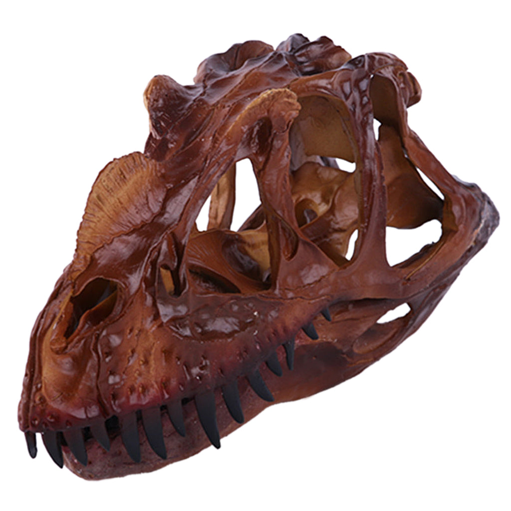Maxbell Dinosaur Ceratosaurus Skull Replica Skeleton Model Aquarium Ornament Decor